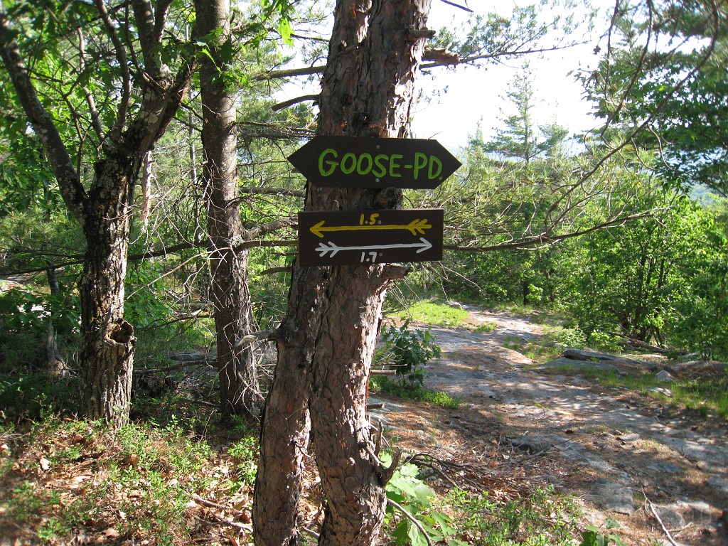 Elwell Trail NH 2010 263.jpg - Heading back down, which route. I went the way I did not come up, which is the white trail.....